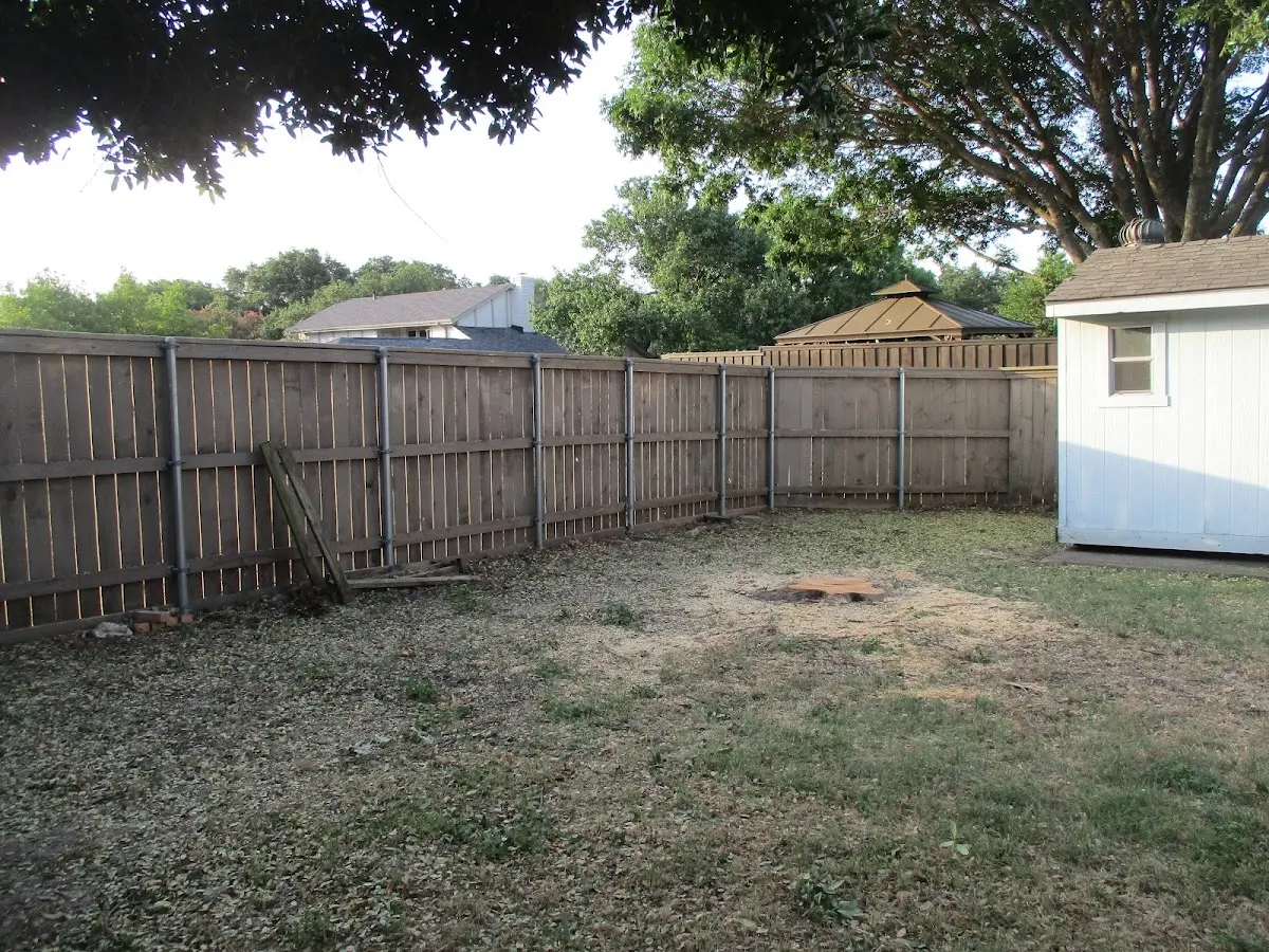 Cleared yard after professional tree removal in West Leisenring