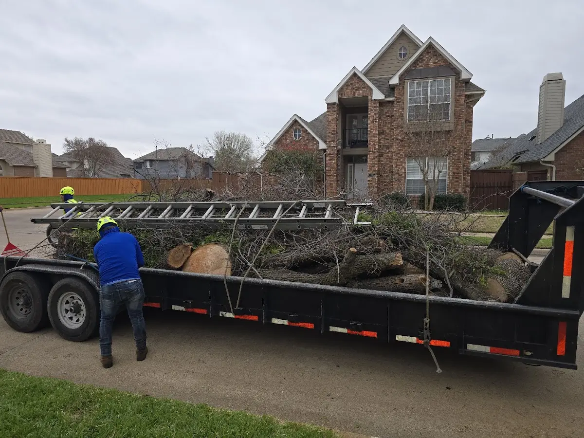 Expert Tree Fertilization with proper safety equipment in West Leisenring